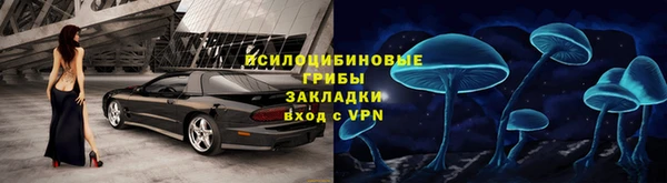 шишки Козловка