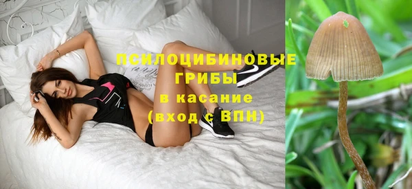 ECSTASY Кинешма