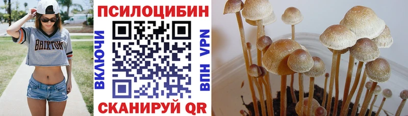 Купить  Аша  Галлюциногенные грибы прущие грибы 